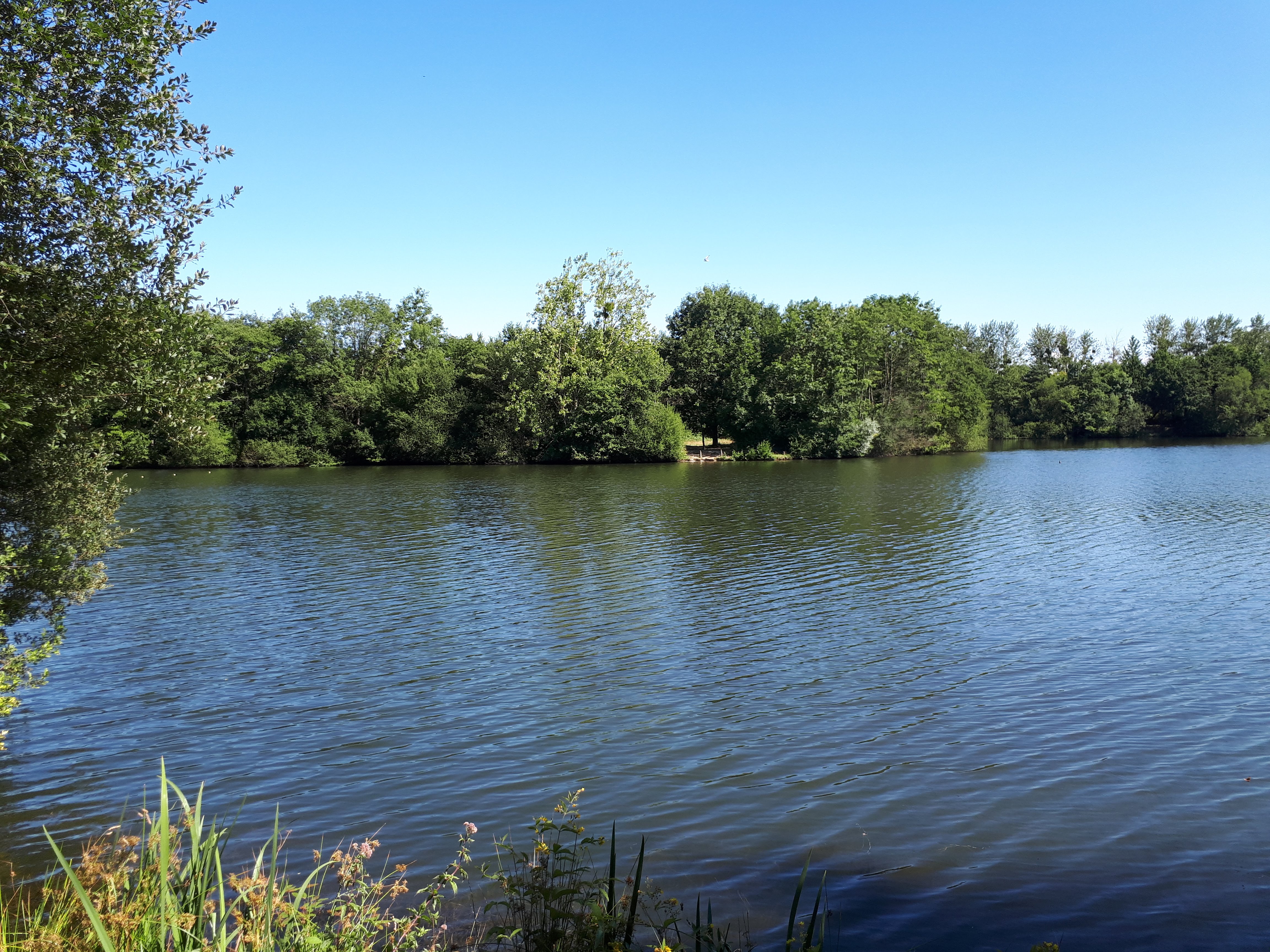 Photo n° 1 de l'avis de Jc.r fait le 18/07/2018 à 19:35
