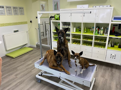 Dog-Station Hundesalon Inh. Dagmar Pfarr Dipl. Groomer & Trainer