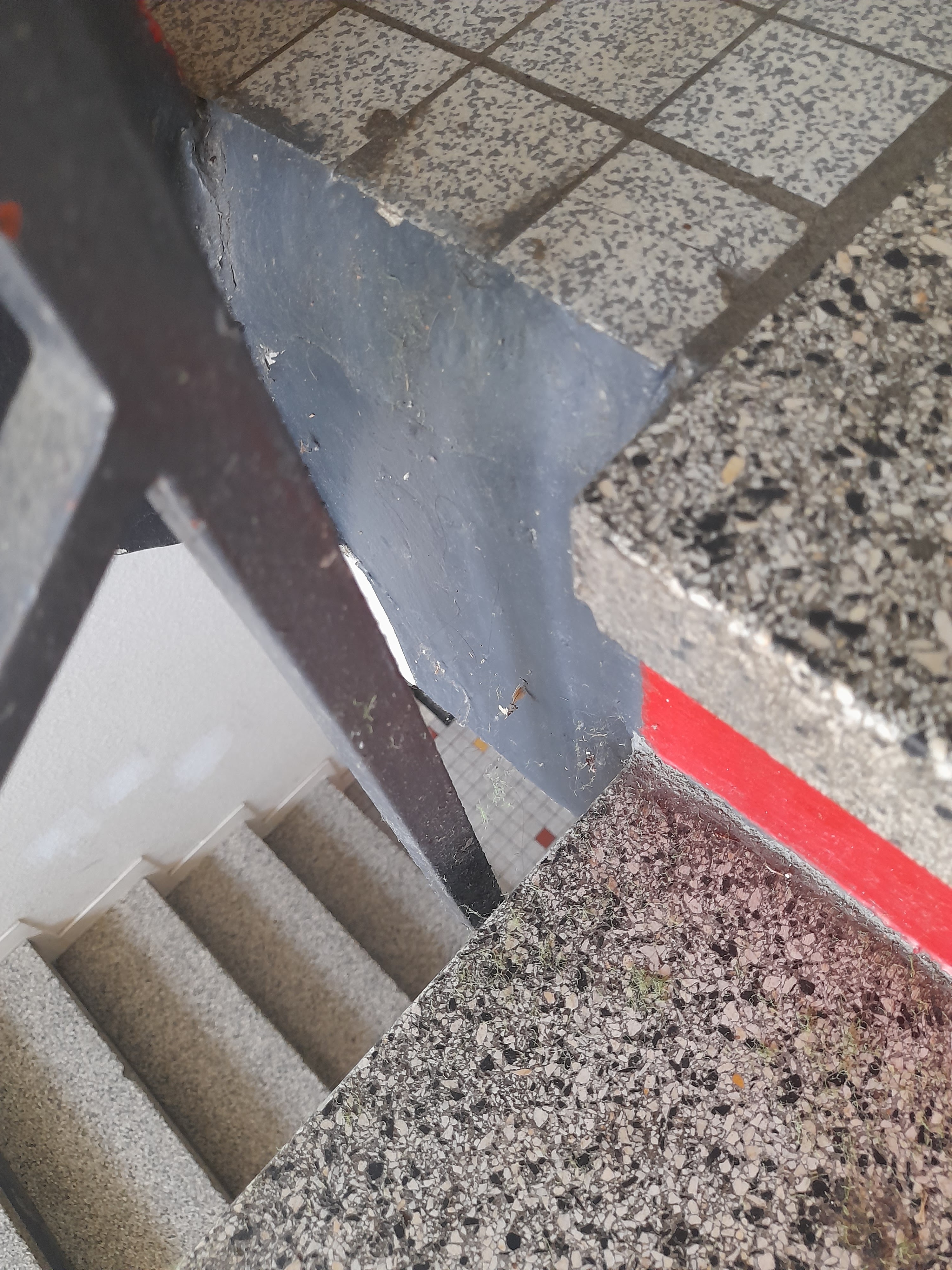 Photo n° 1 de l'avis de Gaelle.h fait le 14/08/2023 à 17:26