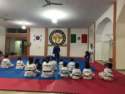 Taekwondo Intensidad Marcial THIM Central. Chilpancingo