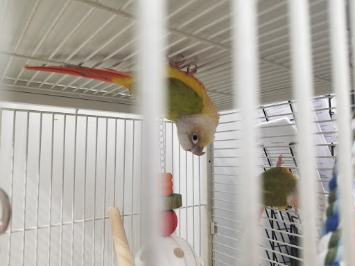 Pet Supply Store «Pet Supplies Plus», reviews and photos, 319 Massachusetts Ave, Lunenburg, MA 01462, USA