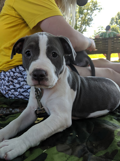Park «Meridian Hill Park», reviews and photos, 2400 15th St NW, Washington, DC 20009, USA