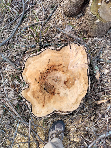 Park «Bass Lake Park», reviews and photos, 3450 Glenhurst Ave, Minneapolis, MN 55416, USA