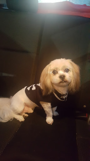 Pet Supply Store «PetSmart», reviews and photos, 620 N West End Blvd, Quakertown, PA 18951, USA