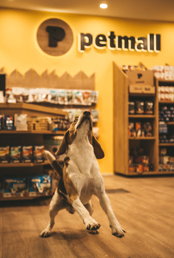 Petmall.bg Mladost pet store