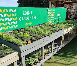 Stodels Garden Centre - Somerset West photo