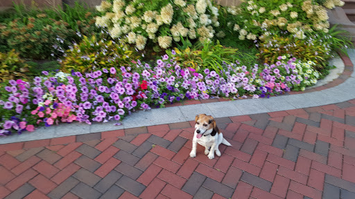 Wedding Venue «Canfield Casino», reviews and photos, 1 E Congress St, Saratoga Springs, NY 12866, USA