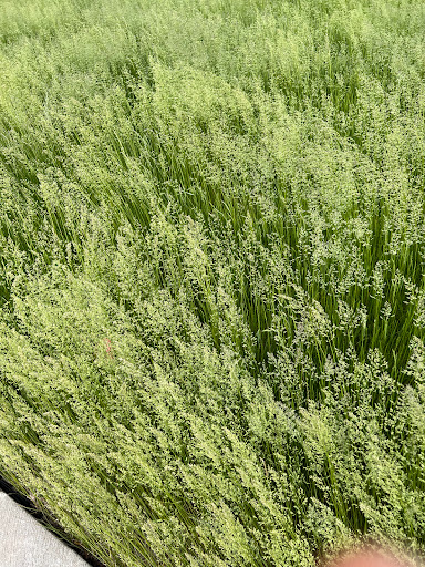 Bicycle Store «Beverly Bike & Ski», reviews and photos, 9121 S Western Ave, Chicago, IL 60643, USA