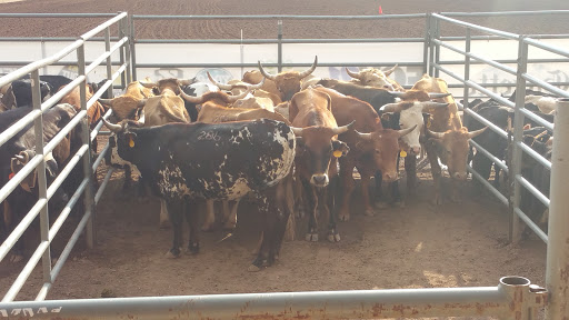 Event Venue «Norris Penrose Event Center», reviews and photos, 1045 Lower Gold Camp Rd # 3, Colorado Springs, CO 80905, USA