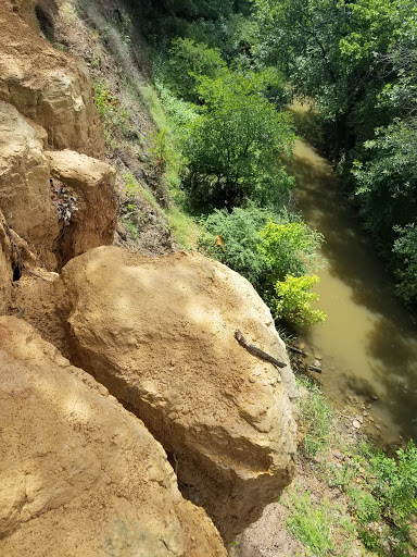 Park «Katherine Rose Memorial Park», reviews and photos, 303 N Walnut Creek Dr, Mansfield, TX 76063, USA