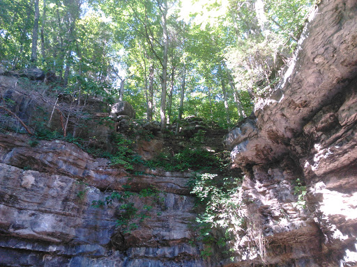 Golf Course «Swan Lake Golf Course», reviews and photos, 581 Dunbar Cave Rd, Clarksville, TN 37043, USA