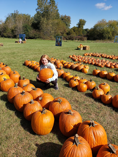 Greenhouse «Stiles Vegetable Farm and Greenhouse», reviews and photos, 11717 Sheridan Rd, Pleasant Prairie, WI 53158, USA