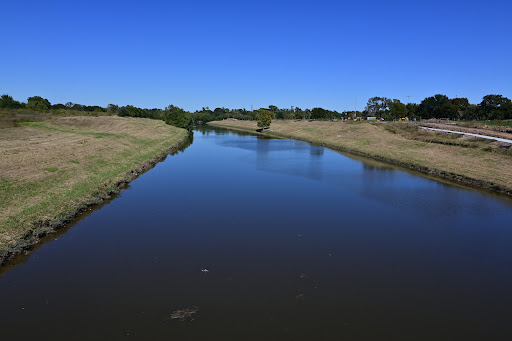 Houston Botanic Garden image 9