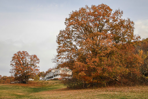 Winery «Little Washington Winery», reviews and photos, 72 Christmas Tree Ln, Washington, VA 22747, USA