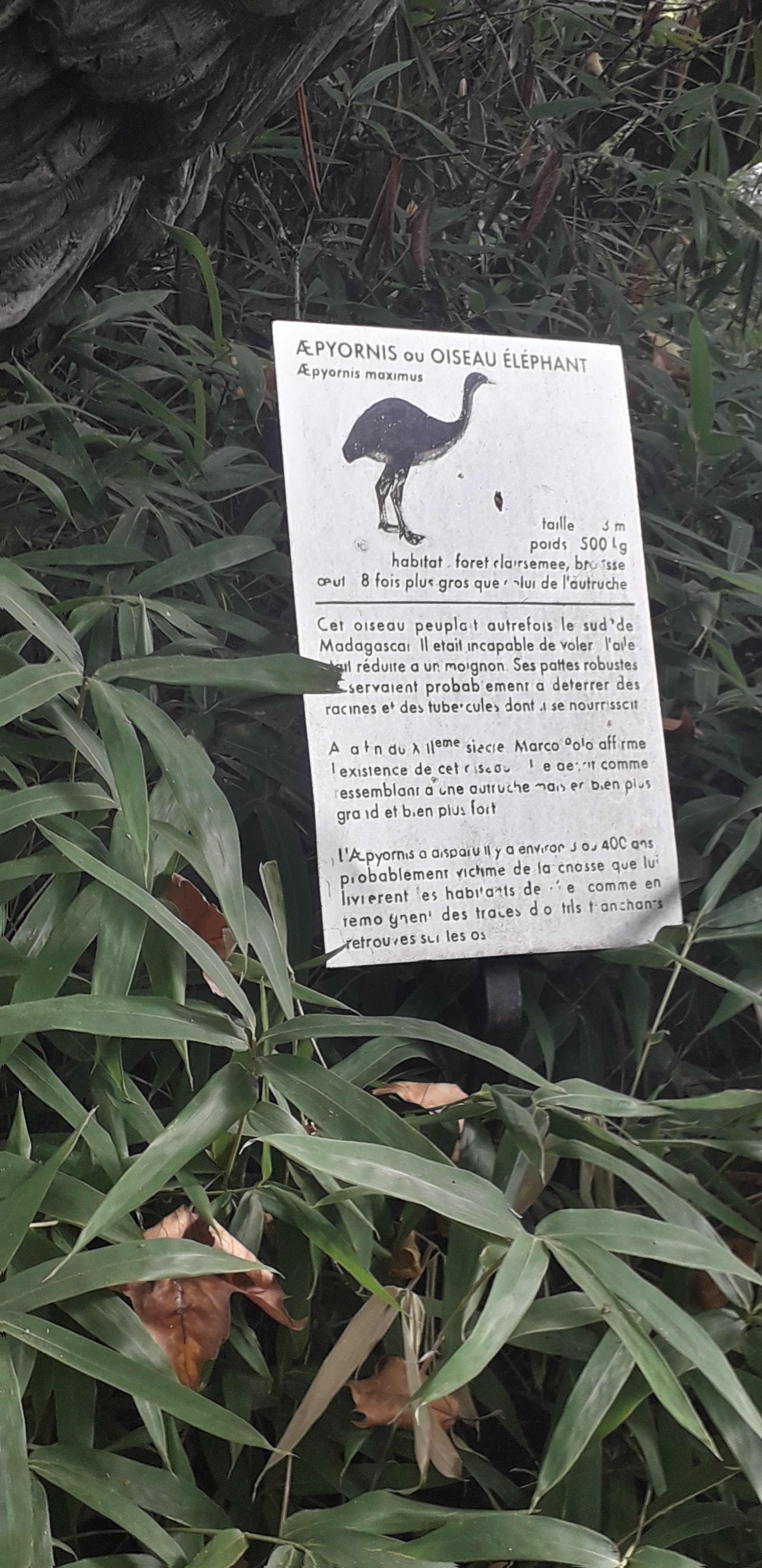 Photo n° 36 de l'avis de lilou.i fait le 19/09/2020 à 16:48