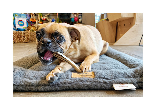 Pet Supply Store «Dog Dish», reviews and photos, 1778 Utica Square, Tulsa, OK 74114, USA