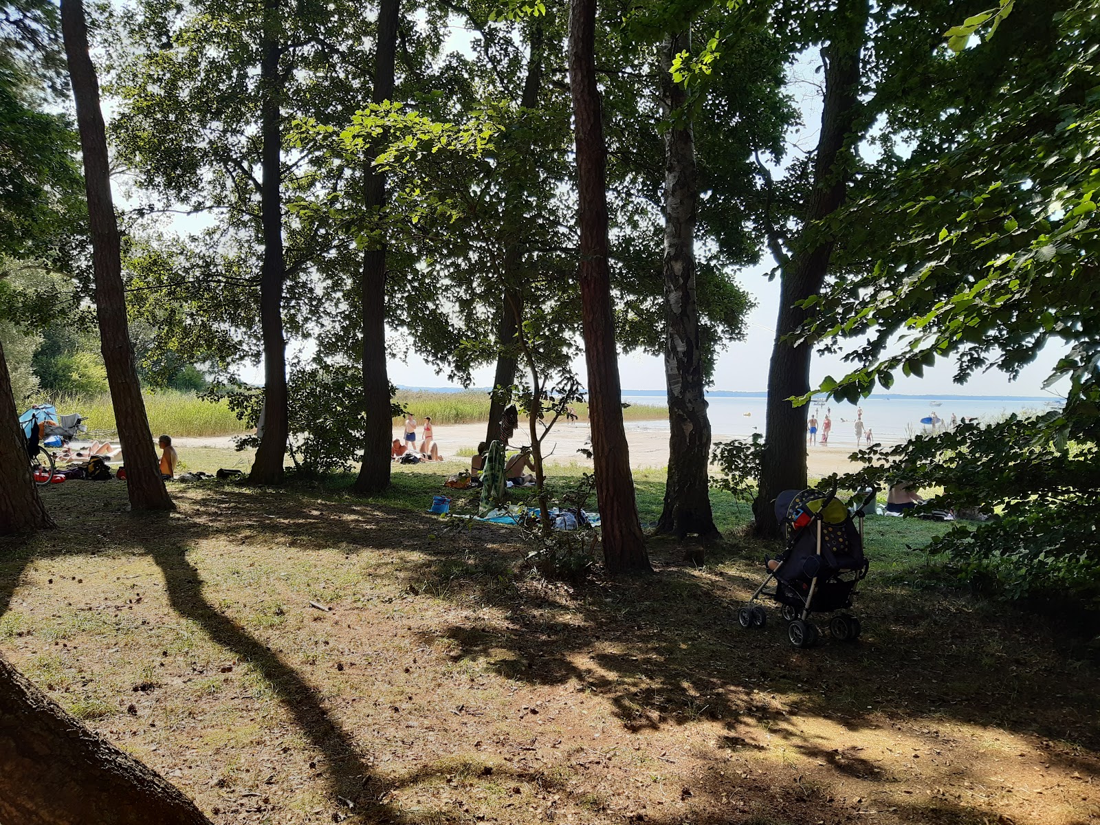 Foto di Badestrand Kolpinsee zona selvaggia