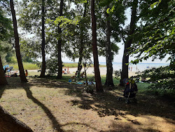 Foto di Badestrand Kolpinsee zona selvaggia