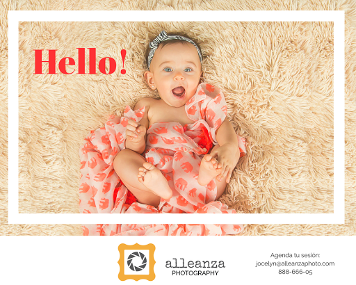 Alleanza Photography