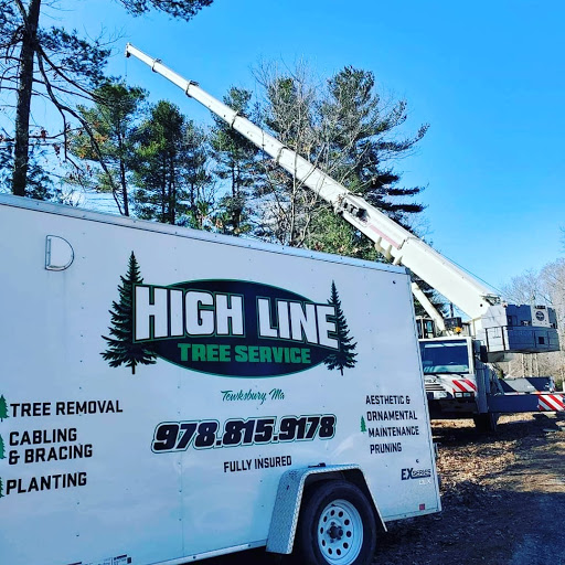 High Line Tree Services