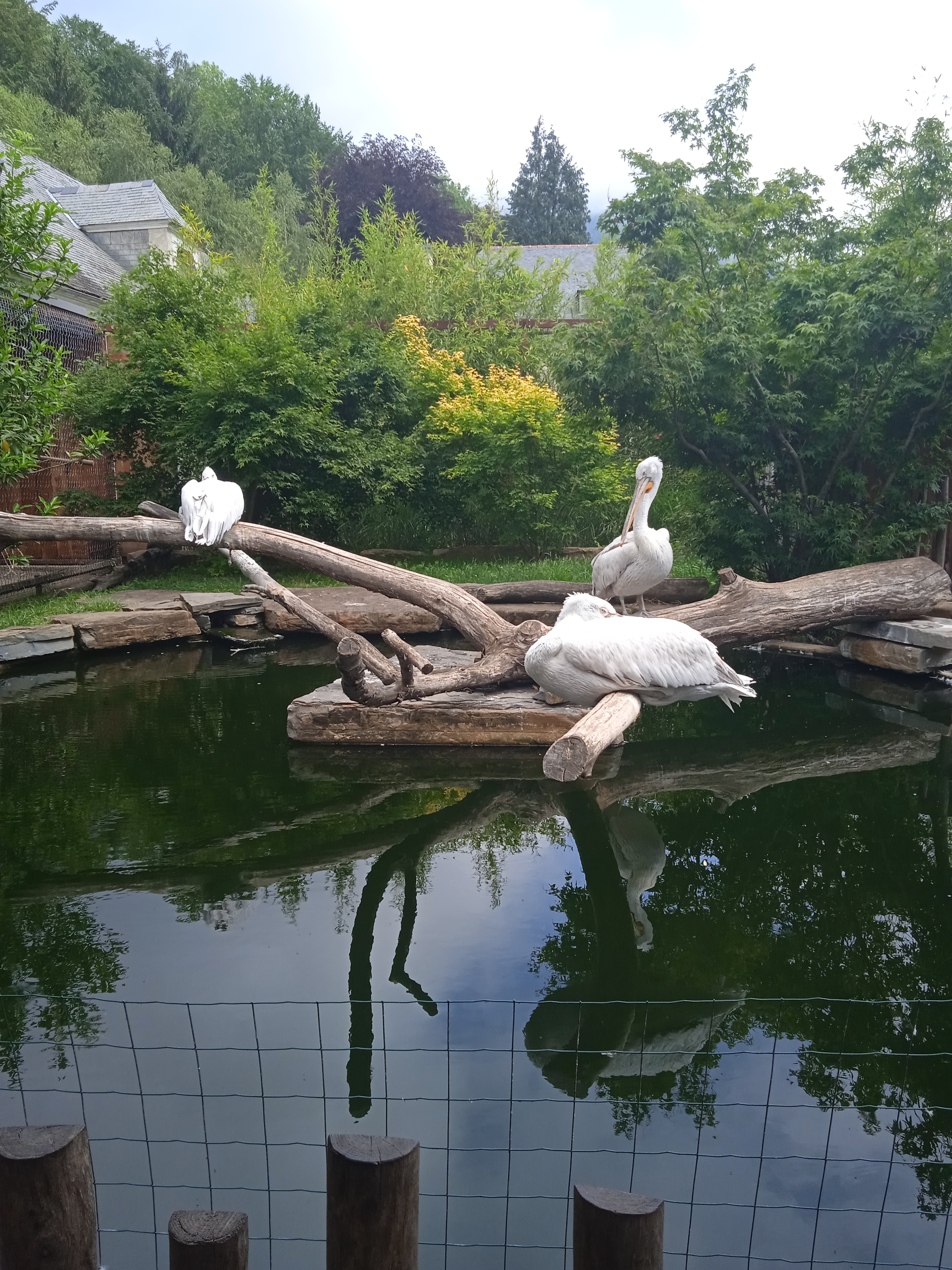 Photo n° 29 de l'avis de Gamer.p fait le 04/06/2022 à 18:21