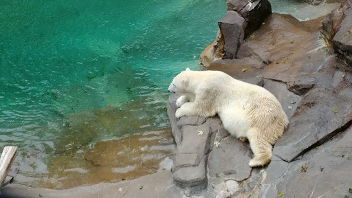 Zoo «Alaskan Adventure Henry Doorly Zoo», reviews and photos, 3701 S 10th St, Omaha, NE 68107, USA