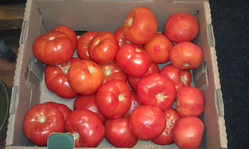 Health Food Store «Amish Healthy Foods», reviews and photos, 1025 N Western Ave, Chicago, IL 60622, USA