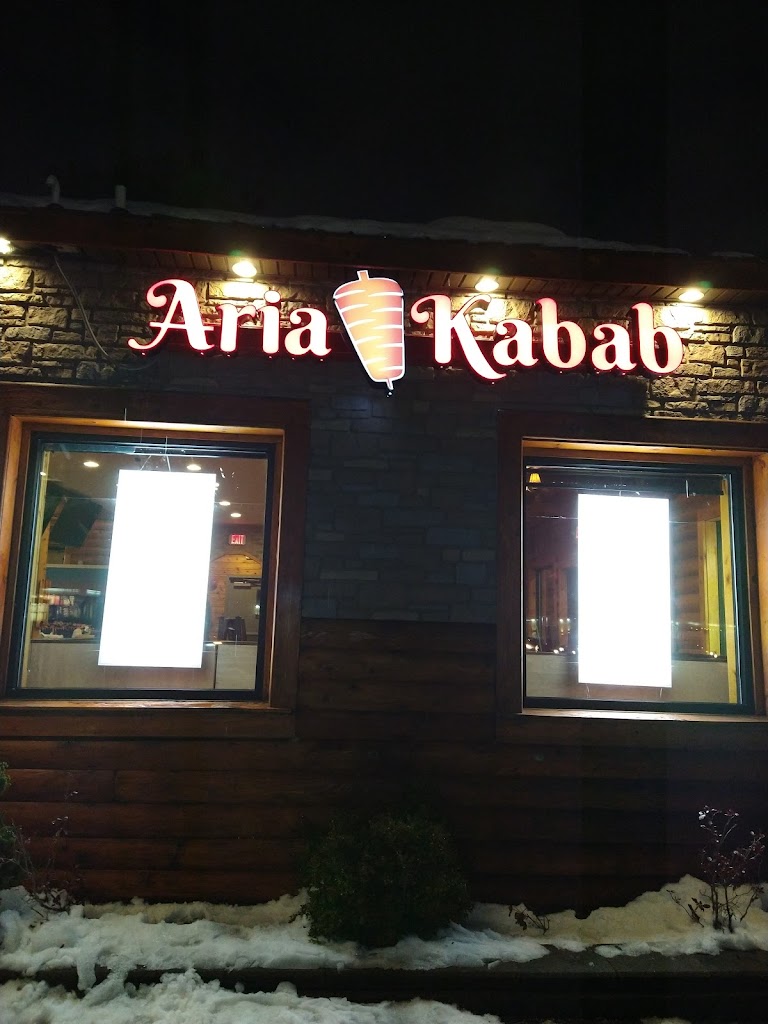 Aria kabab 12205