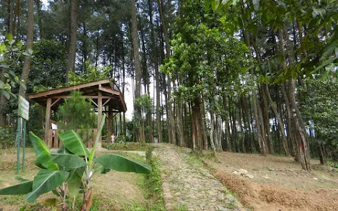 HUTAN PINUS ( Sentul eco edu tourism forest Office) image