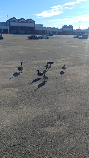 Supermarket «ALDI», reviews and photos, 13291 Gordon Blvd, Woodbridge, VA 22191, USA