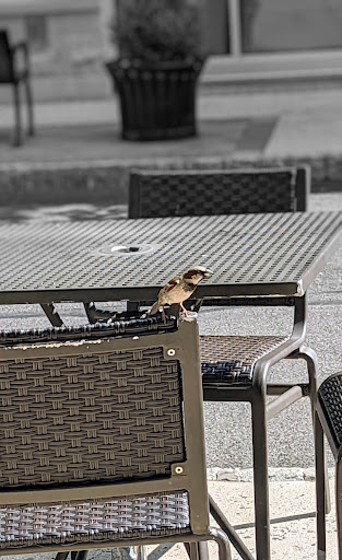 Shopping Mall «The Shops at Valley Square», reviews and photos, 1501 N Main St #200, Warrington, PA 18976, USA