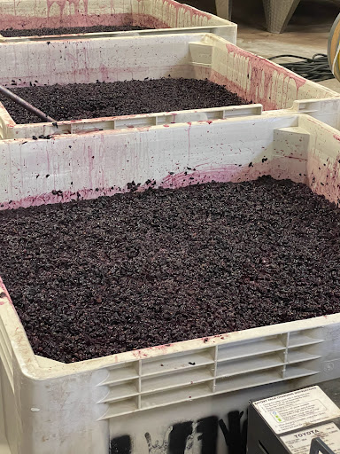 Winery «Lost Oak Winery», reviews and photos, 8101 County Rd 802, Burleson, TX 76028, USA