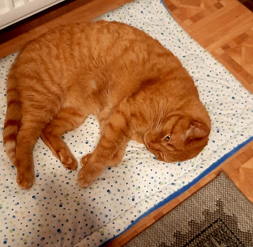 Tierarztpraxis Dr. Bungartz unter Reuth, Rheinland-Pfalz