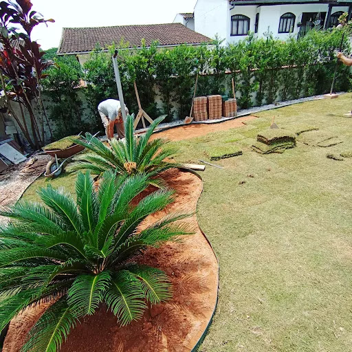 Logo da empresa - SOS jardinagem