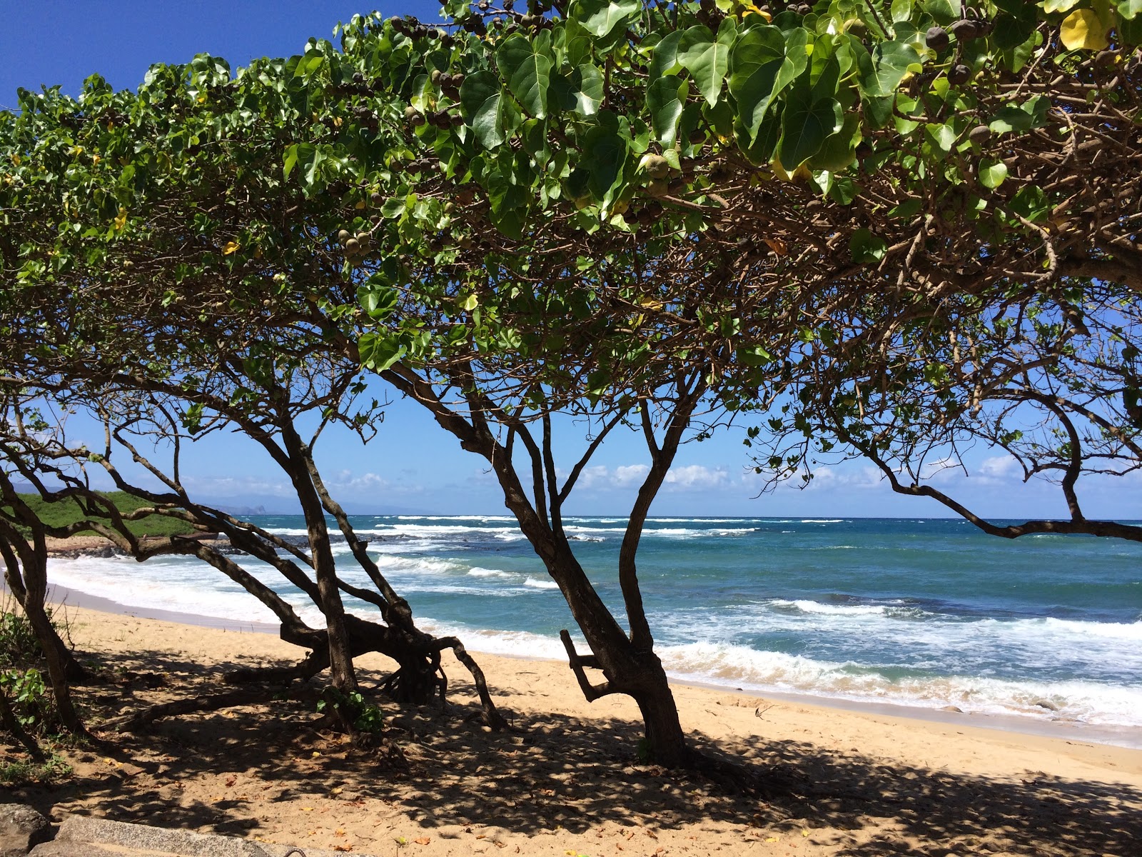 Foto di Kaulahao Beach circondato da montagne