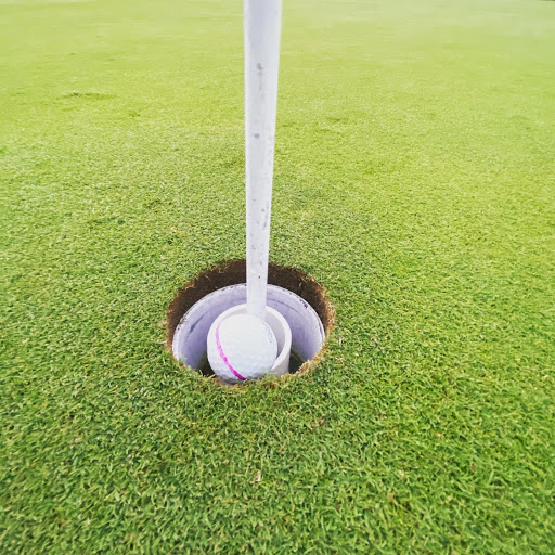 Golf Course «Royal Oak Golf Course», reviews and photos, 3417 Don Soper Dr, Royal Oak, MI 48073, USA