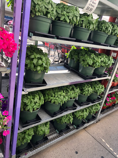 Warehouse club «BJ’s Wholesale Club», reviews and photos, 40 Black Rock Turnpike, Fairfield, CT 06825, USA