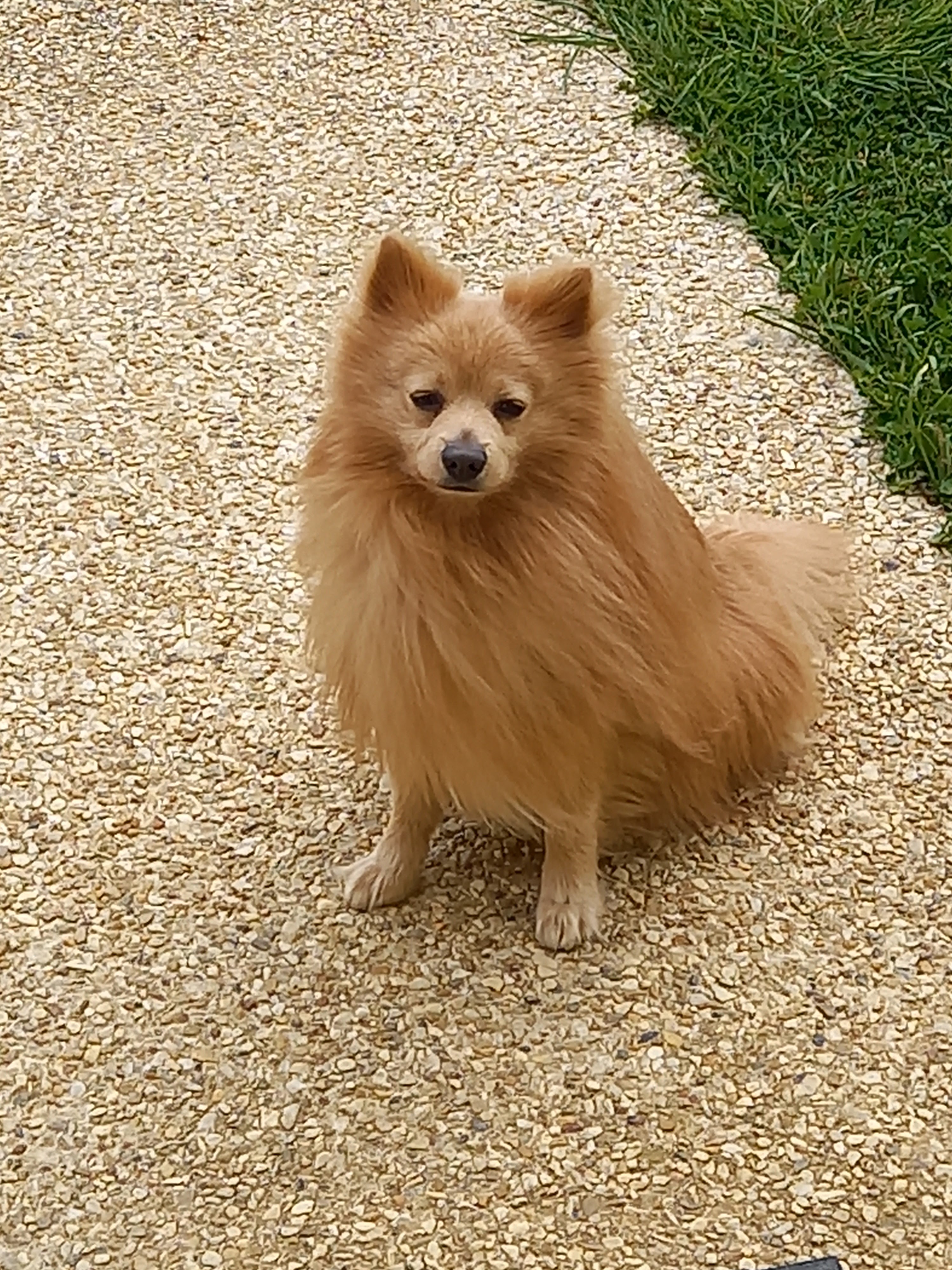 Photo n° 2 de l'avis de Claudette.o fait le 30/08/2022 à 18:36