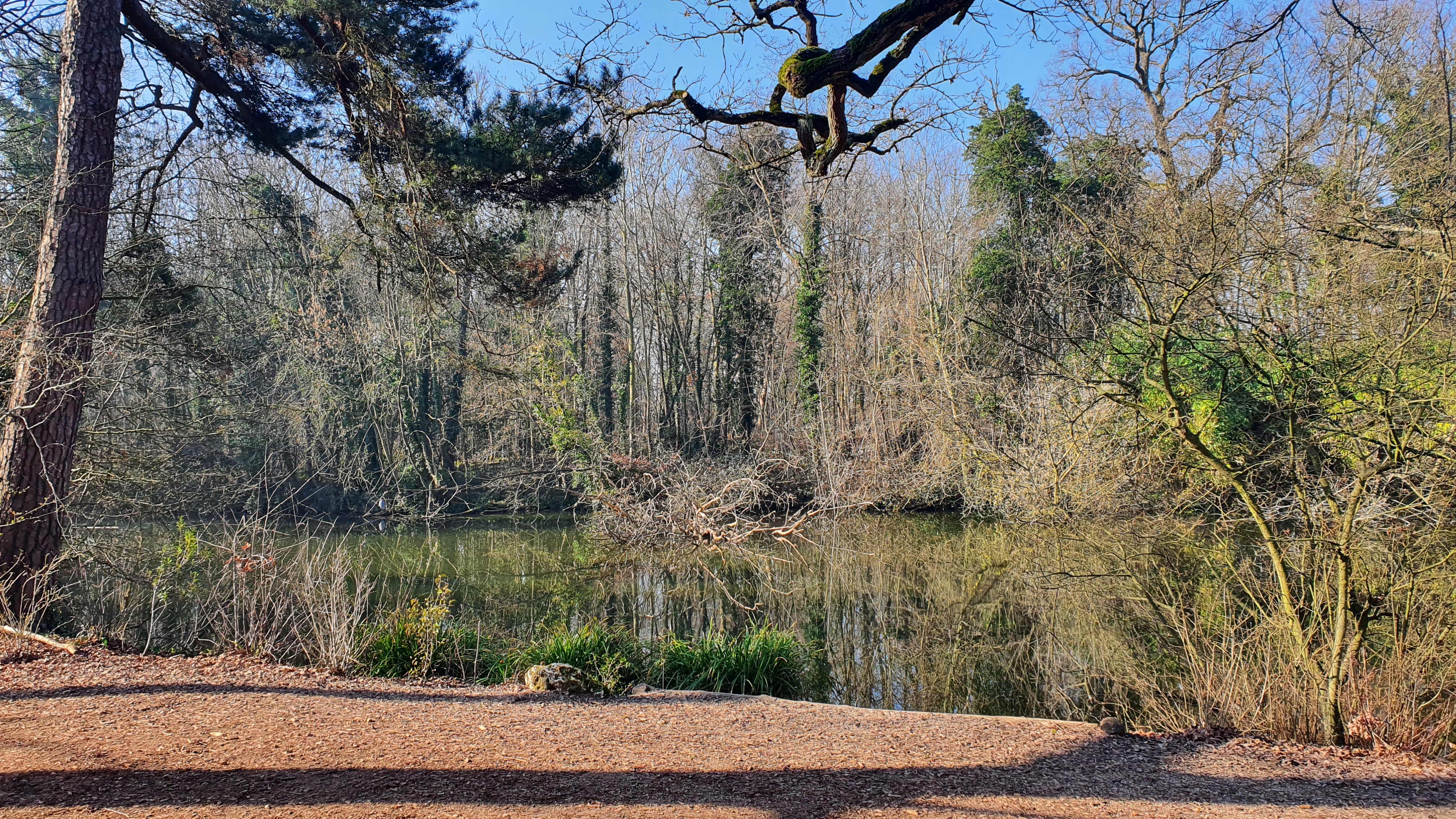 Photo n° 14 de l'avis de Gaelle.T fait le 12/02/2023 à 10:18