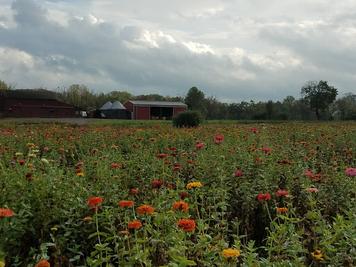 Produce Market «Maple Acres Farm Market», reviews and photos, 2656 Narcissa Rd, Plymouth Meeting, PA 19462, USA