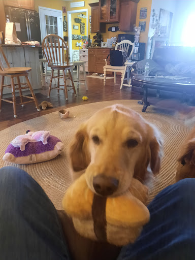 Greenfield Veterinary Clinic image