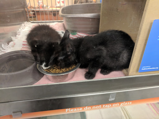 Pet Supply Store «PetSmart», reviews and photos, 8500 N Evanston Ave, Kansas City, MO 64157, USA