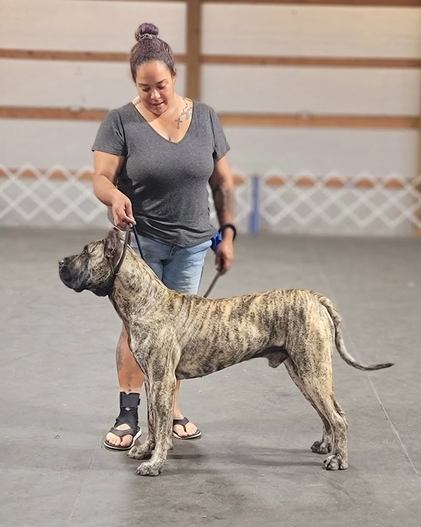 Cabeza Grande Kennel  Dog breeder in Pocahontas, IL