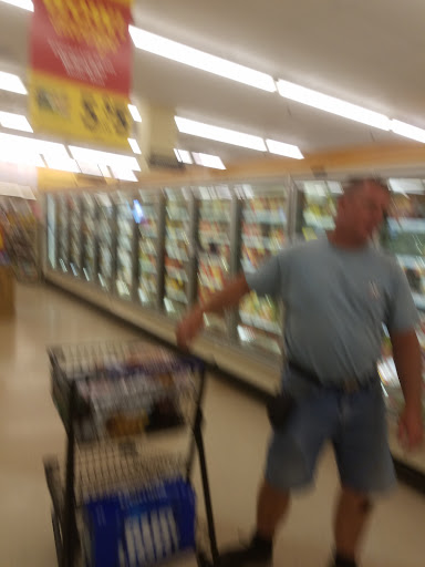 Grocery Store «Food Lion», reviews and photos, 1328 Armory Dr, Franklin, VA 23851, USA