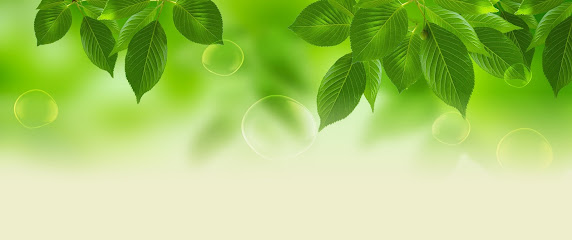 Green Leaf Psychological Services