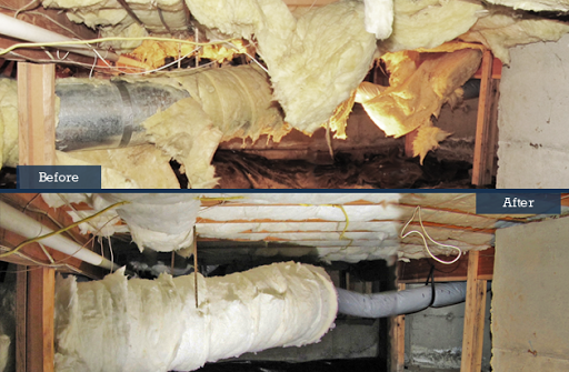 Insulation Contractor «Clean Crawls - Insulation Install & Removal Marysville», reviews and photos