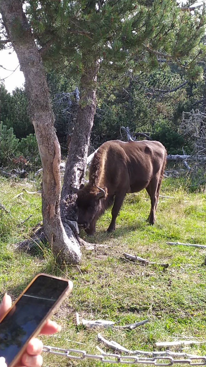 Photo n° 4 de l'avis de Laure.r fait le 27/08/2021 à 14:49