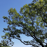 Photo n°5 de l'avis de M..a fait le 15/06/2020 à 14:34 sur le  Blankenstein Castle à Hattingen