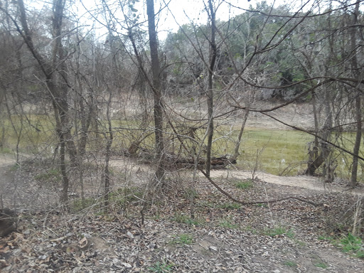 Gift Shop «Dinosaur Valley State Park Store», reviews and photos, 1629 Park Rd 59, Glen Rose, TX 76043, USA
