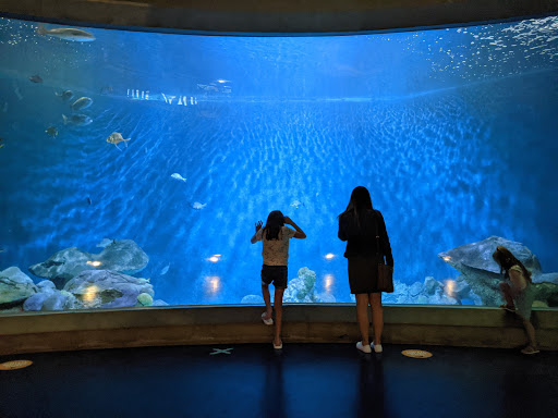 Aquarium «National Mississippi River Museum & Aquarium», reviews and photos, 350 E 3rd St, Dubuque, IA 52001, USA